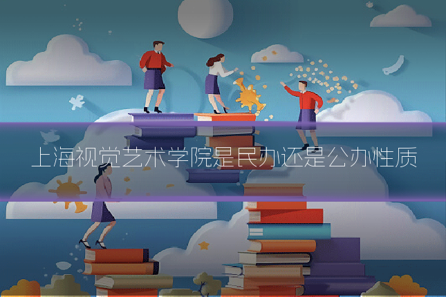 上海视觉艺术学院是民办还是公办性质