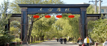 专任