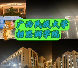 大赛