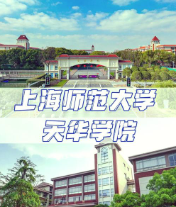 上海市