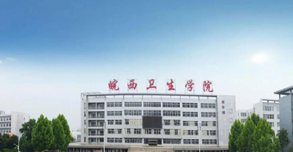专业